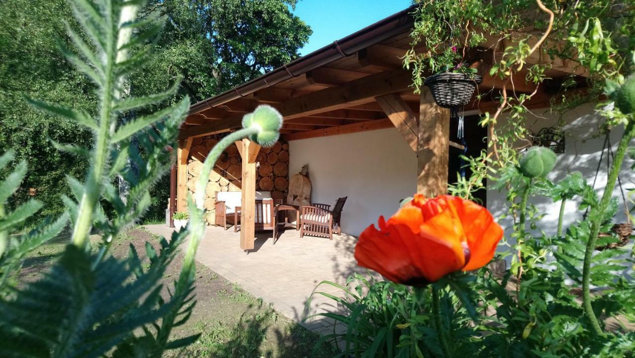 Forest Rustic Apartment Brdy Vesin Zewnętrze zdjęcie