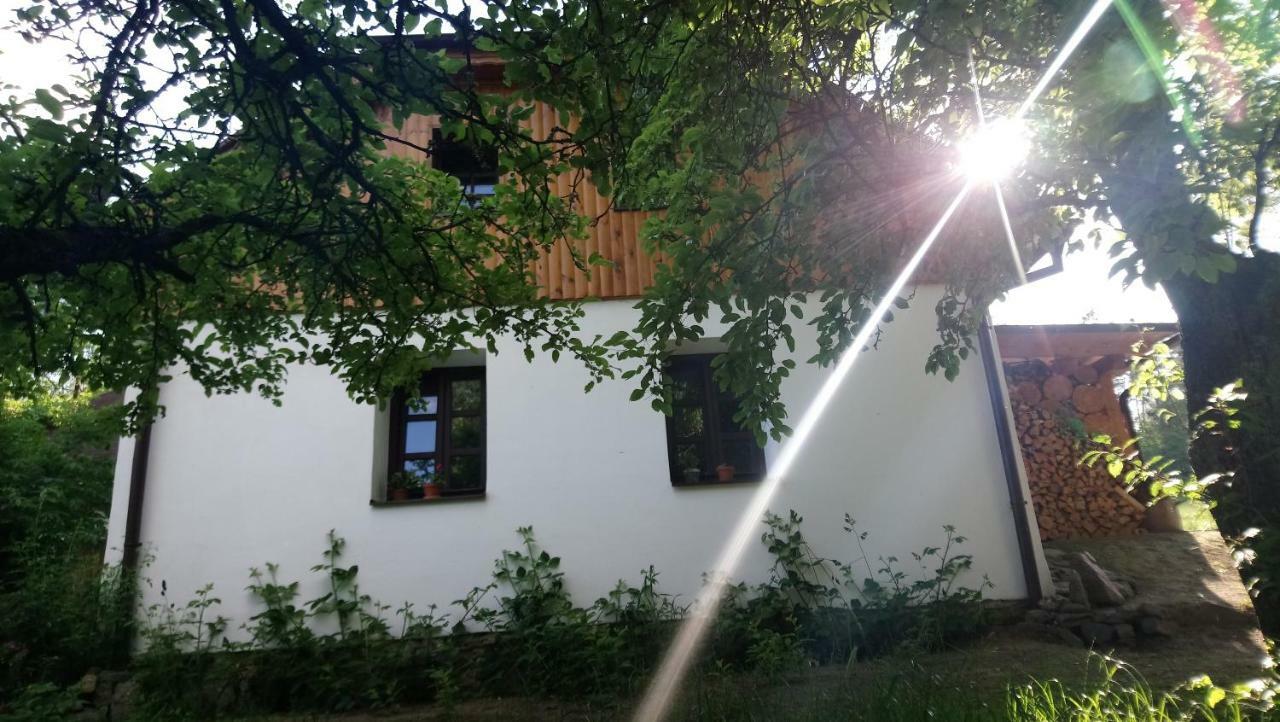 Forest Rustic Apartment Brdy Vesin Zewnętrze zdjęcie